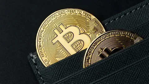 Why users across France trust SecureVault